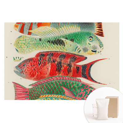 Fototapeta na flizelinie Kolorowe ryby ilustrowane klasycznie