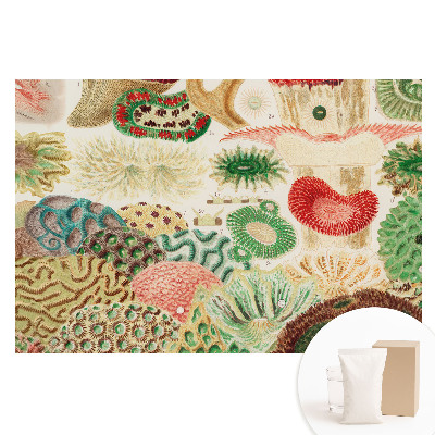 Tapeta fotograficzna flizelinowa Abstrakcyjne motywy organiczne i struktury