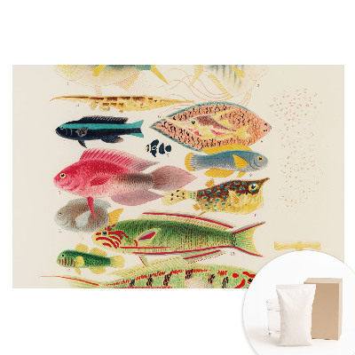 Fototapeta z nadrukiem na flizelinie Różnorodne ryby w klasycznym stylu