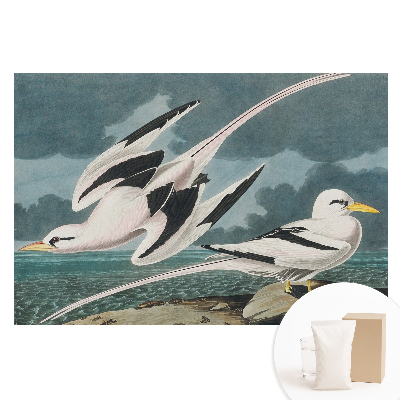 Tapeta fotograficzna flizelinowa Klasyczny obraz ptaków przy brzegu