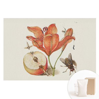 Fototapeta flizelinowa Kwiaty owady owoce harmonia natury