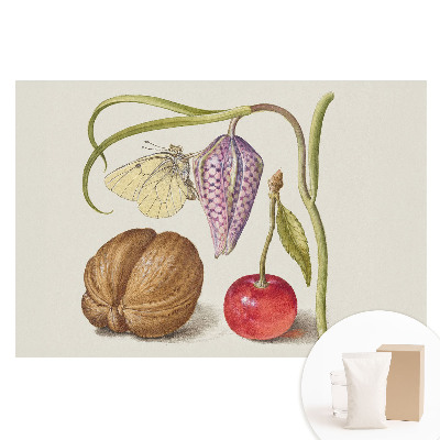 Duża fototapeta na ścianę Motyl na kwiatku liść i owoce