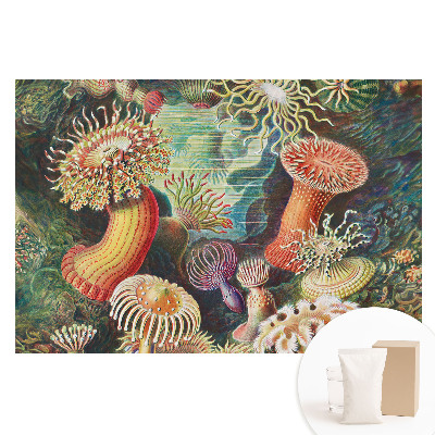 Fototapeta na flizelinie Podwodne formy i jaskrawe kolory