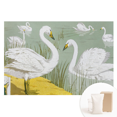 Tapeta fotograficzna flizelinowa Łabędzie na jeziorze romantyczna elegancja