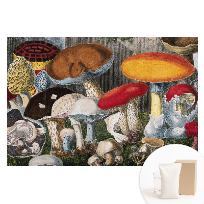 Fototapeta z nadrukiem na flizelinie Różnorodność grzybów botaniczny styl