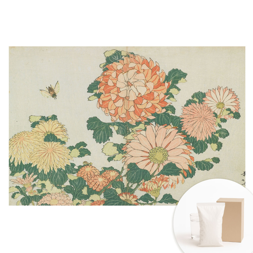 Fototapeta na flizelinie Kwiaty chryzantemy pszczoła harmonia