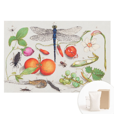 Fototapeta flizelinowa z nadrukiem Botaniczny collage z owadami