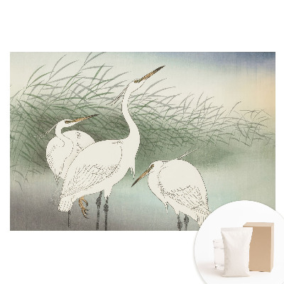 Fototapeta na flizelinie Delikatne ptaki wśród traw