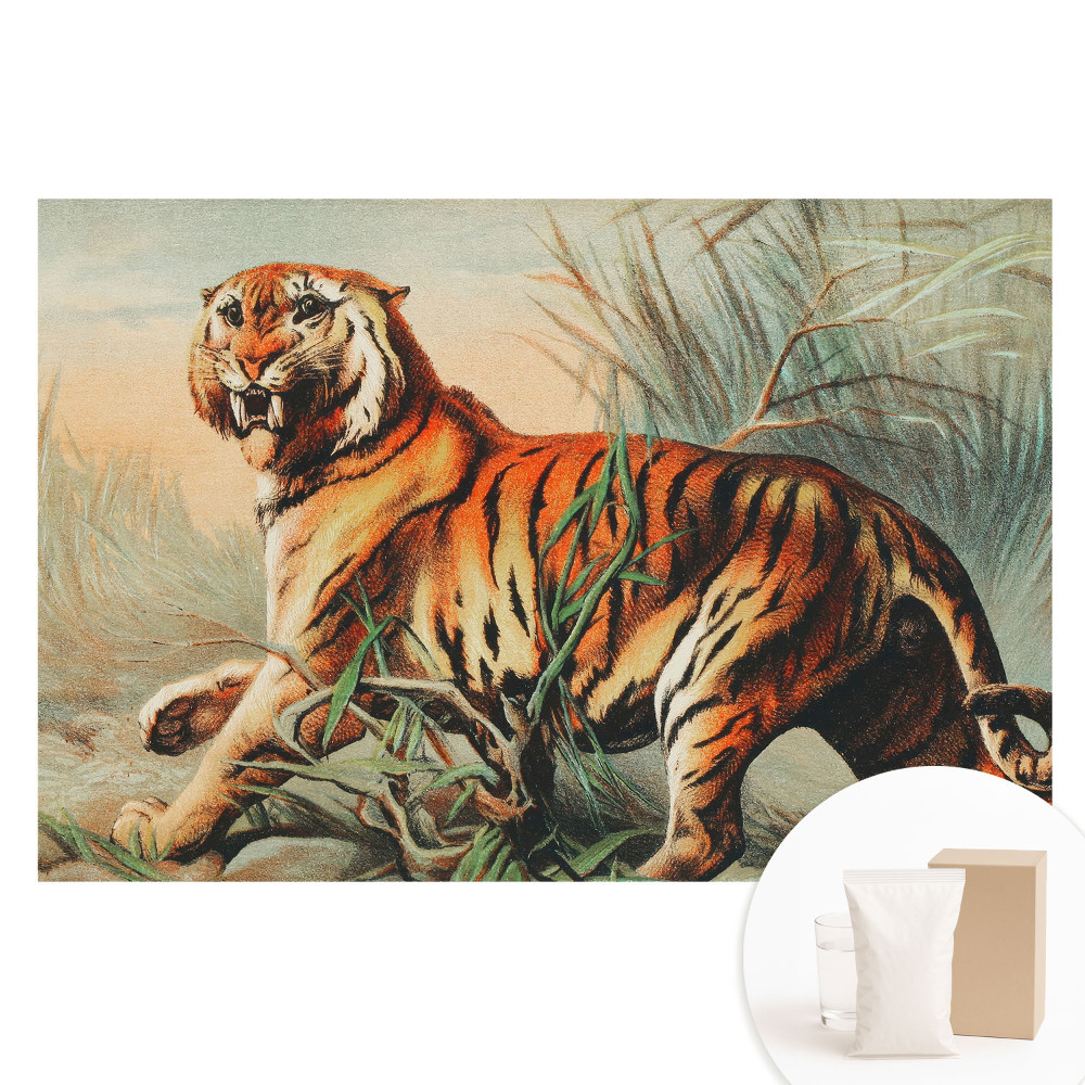 Fototapeta flizelinowa z nadrukiem Majestatyczny tygrys w dzikiej scenerii