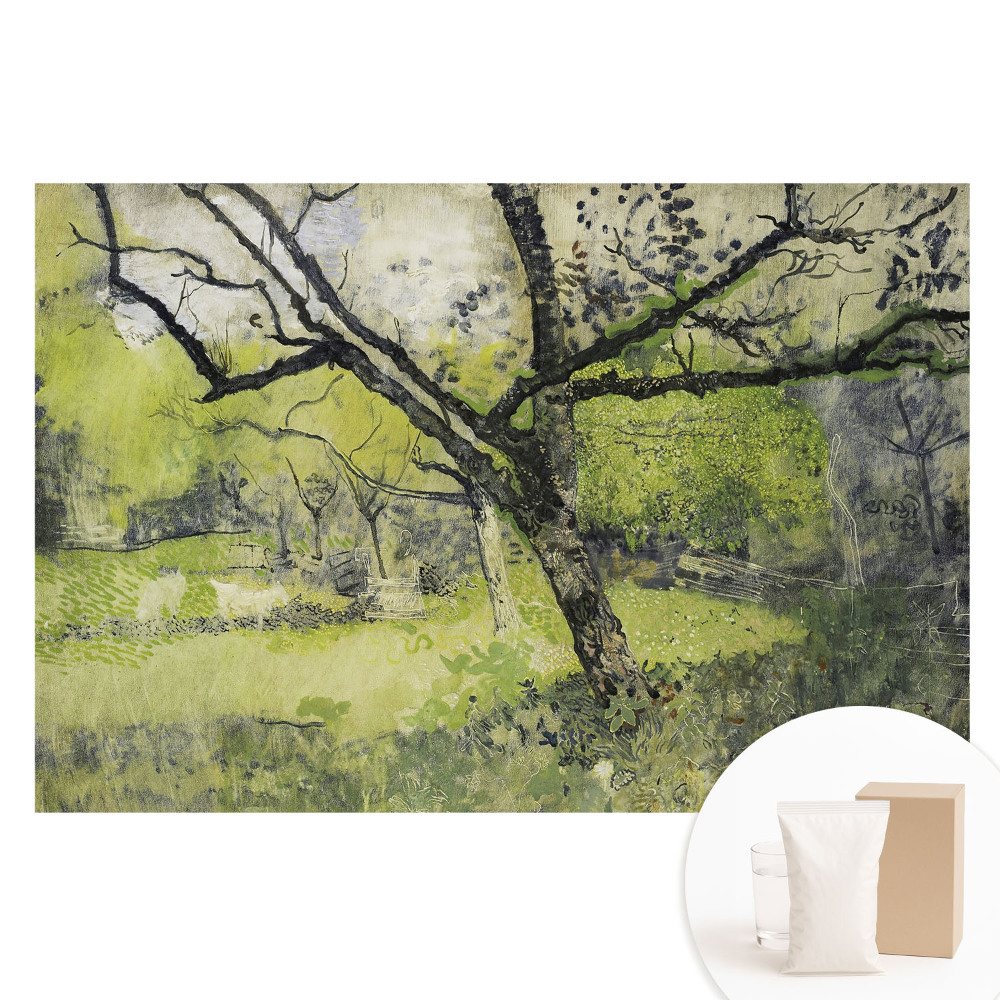 Fototapeta z nadrukiem na flizelinie Zielona przestrzeń w parku drzewo