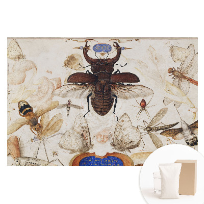 Tapeta fotograficzna na flizelinie Owady motyle pająk klasyczna symetria