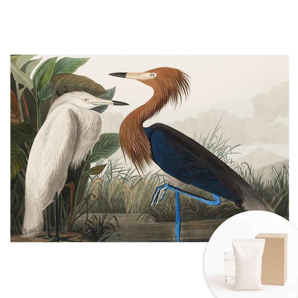 Fototapeta flizelinowa Eleganckie ptaki w roślinności