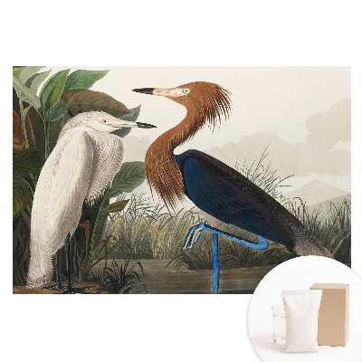 Fototapeta flizelinowa Eleganckie ptaki w roślinności