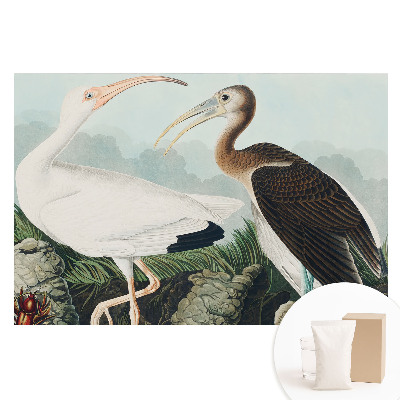 Fototapeta flizelinowa z nadrukiem Dwa ptaki w naturalnym otoczeniu