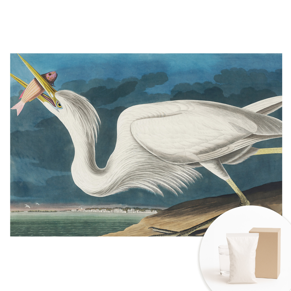 Duża fototapeta na ścianę Ptasia elegancja i natura