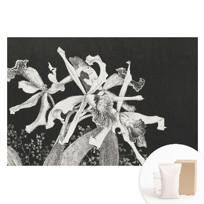 Tapeta fotograficzna na flizelinie Eleganckie kwiaty na ciemnym tle