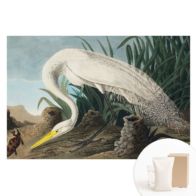 Fototapeta flizelinowa Czapla wśród traw