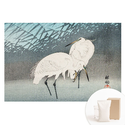 Fototapeta z nadrukiem na flizelinie Tradycyjne ptaki elegancja detal woda spokój