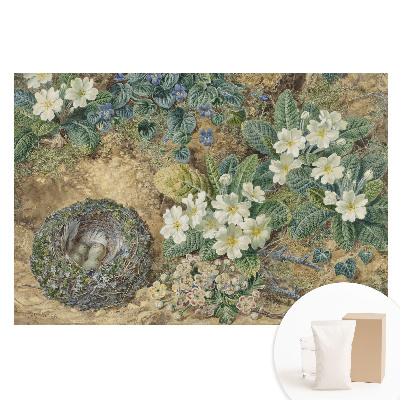 Duża fototapeta na ścianę Kwiaty prymulki z ptasim gniazdem