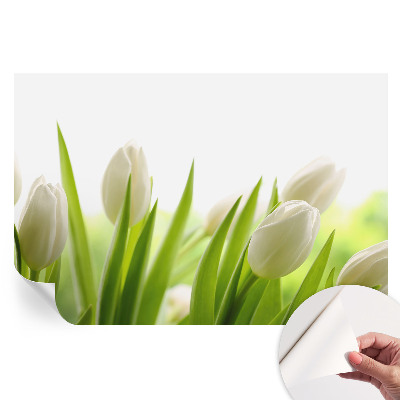 Samoprzylepna tapeta fotograficzna Białe tulipany
