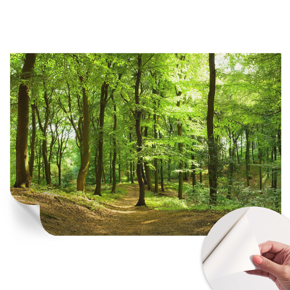 Samoprzylepna fototapeta na ścianę do sypialni Naturalna ścieżka