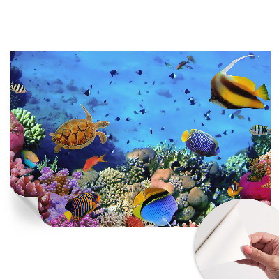 Nowoczesna fototapeta do salonu Rafa koralowa