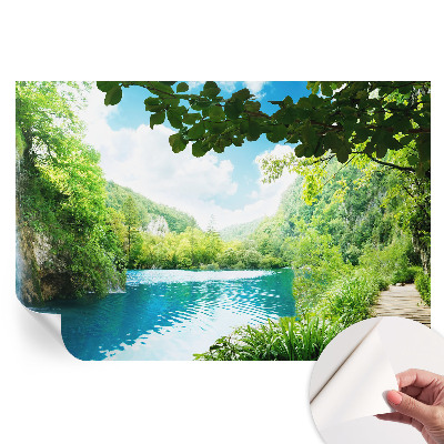 Fototapeta samoprzylepna na ścianę Naturalna oaza