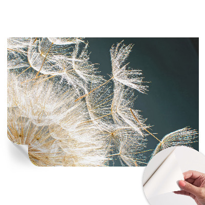 Tapeta fotograficzna samoprzylepna Dmuchawiec lekkości