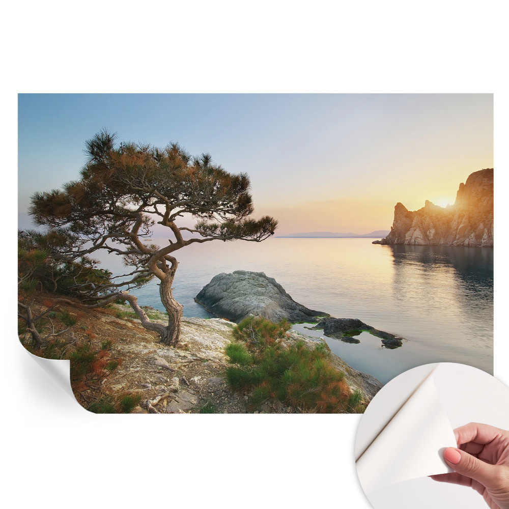 Samoprzylepna fototapeta Spokojna natura