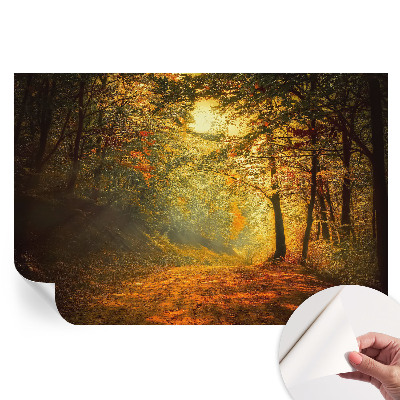 Samoprzylepna tapeta fotograficzna Jesienny pejzaż