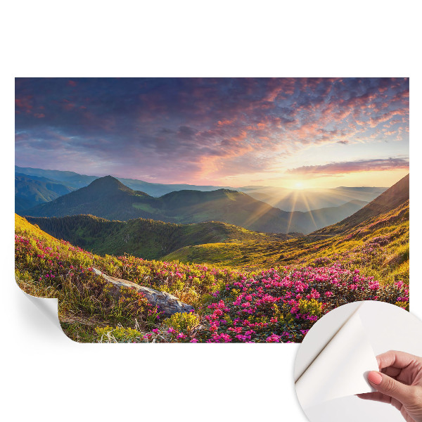 Fototapeta samoprzylepna do salonu Górska panorama