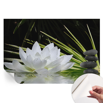 Tapeta fotograficzna samoprzylepna Lilia medytacja