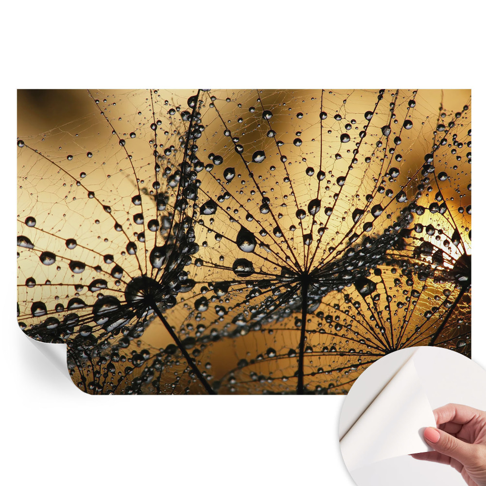 Fototapeta samoprzylepna do sypialni Delikatne krople