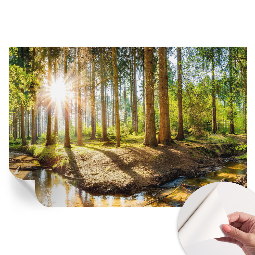 Samoprzylepna fototapeta na ścianę Leśna idylla do sypialni