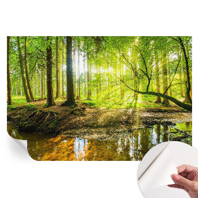 Fototapeta samoprzylepna do salonu Zielony krajobraz