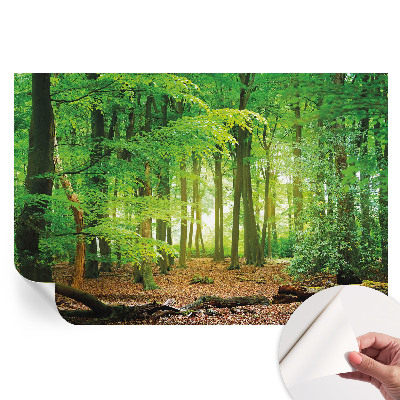Samoprzylepna fototapeta z motywem zielonego lasu do sypialni