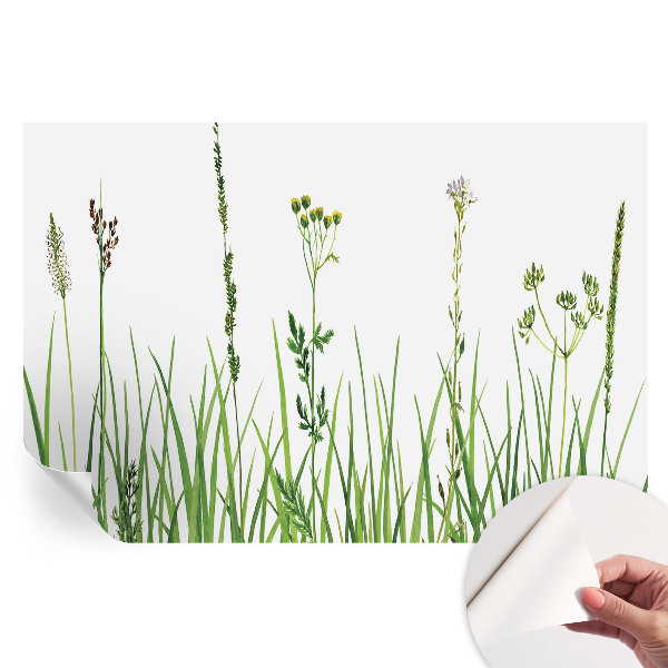 Fototapeta samoprzylepna do salonu Subtelna flora