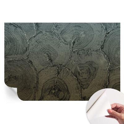 Fototapeta samoprzylepna do salonu Drewniane słoje