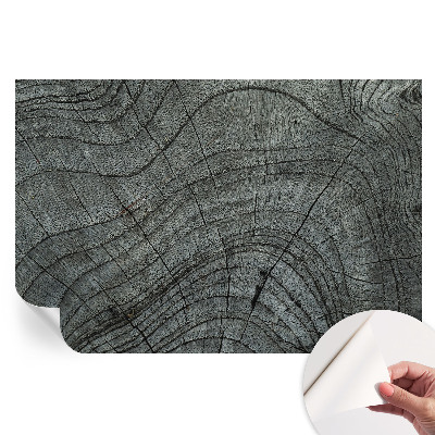 Nowoczesna fototapeta do salonu Słojowy wzór