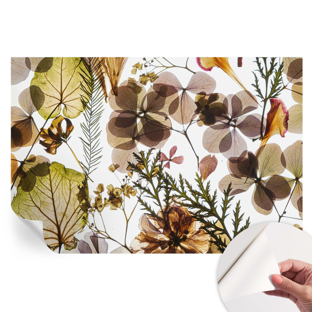 Samoprzylepna fototapeta Naturalna kompozycja do sypialni