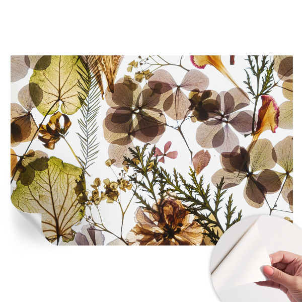 Fototapeta samoprzylepna do sypialni Naturalna kompozycja