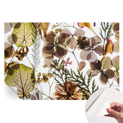 Samoprzylepna fototapeta Naturalna kompozycja do sypialni