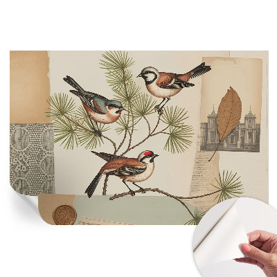 Fototapeta samoprzylepna do salonu Ptaki collage