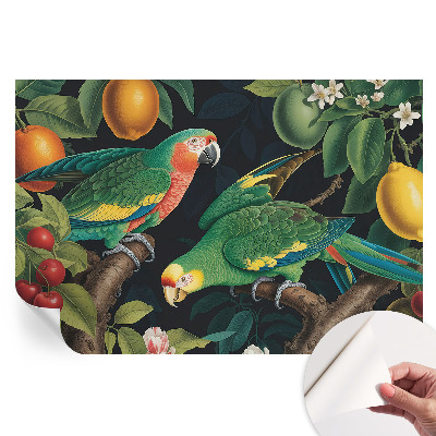 Samoprzylepna tapeta fotograficzna Tropikalna przygoda