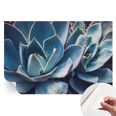 Fototapeta samoprzylepna do salonu Zielony aloes