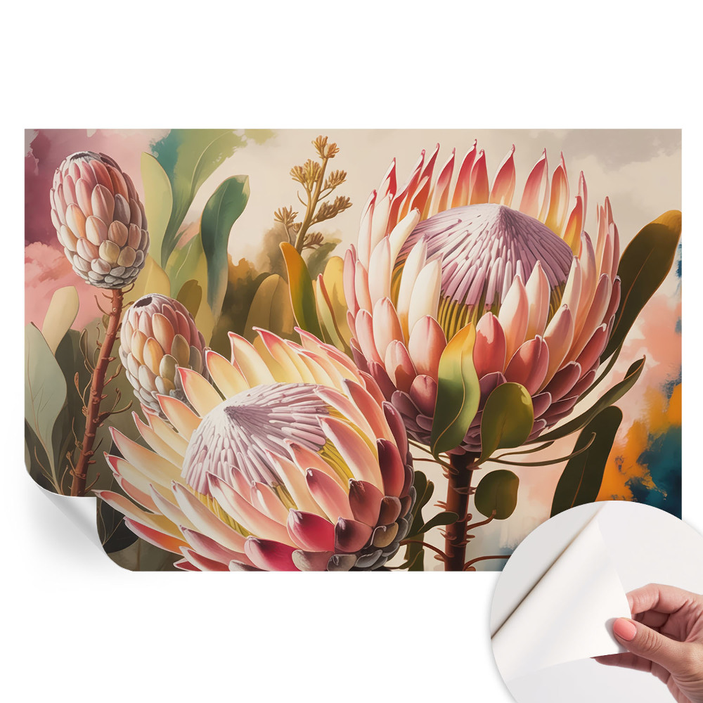 Fototapeta samoprzylepna do sypialni Protea kwiaty