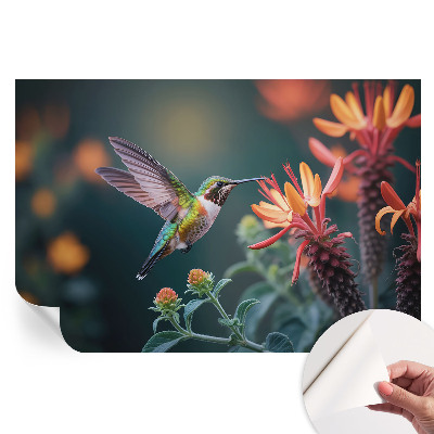 Samoprzylepna tapeta fotograficzna Koliberek i kwiaty