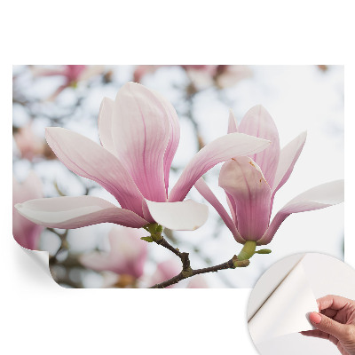 Samoprzylepna fototapeta z motywem kwiatów magnolii do sypialni
