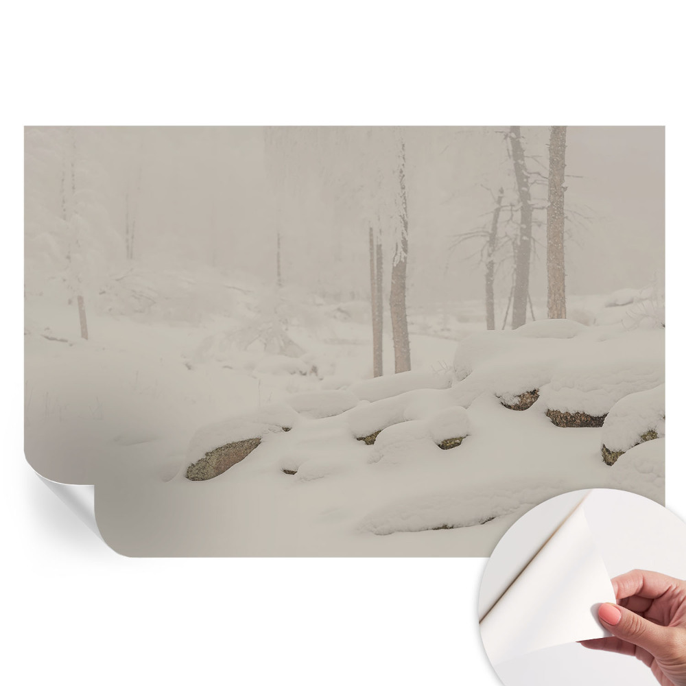 Samoprzylepna fototapeta Śnieżny las do salonu