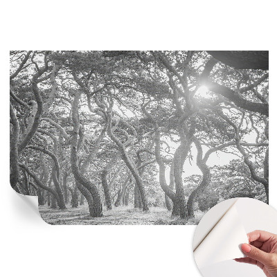 Samoprzylepna fototapeta na ścianę Klimatyczny las